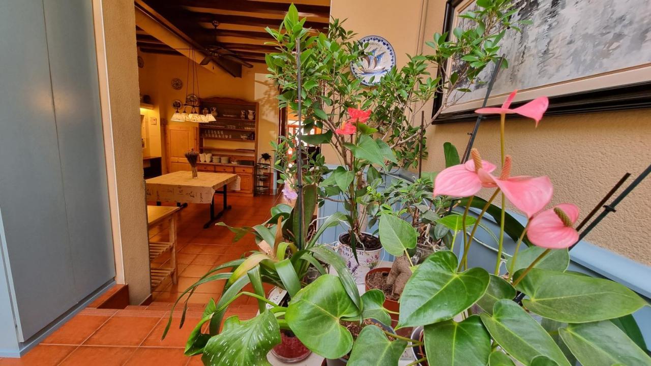 Hotel Torino Masnou Kültér fotó